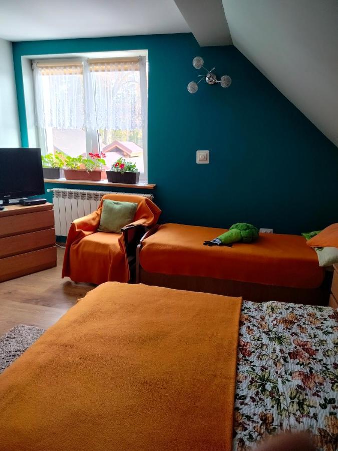 Zgorzanka Villa Istebna Luaran gambar